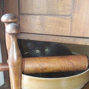 Meet your Posher, Kathy